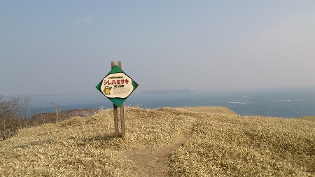 野鳥情報 釧路町仙鳳趾 浜中町火散布沼 日本野鳥の会釧路支部